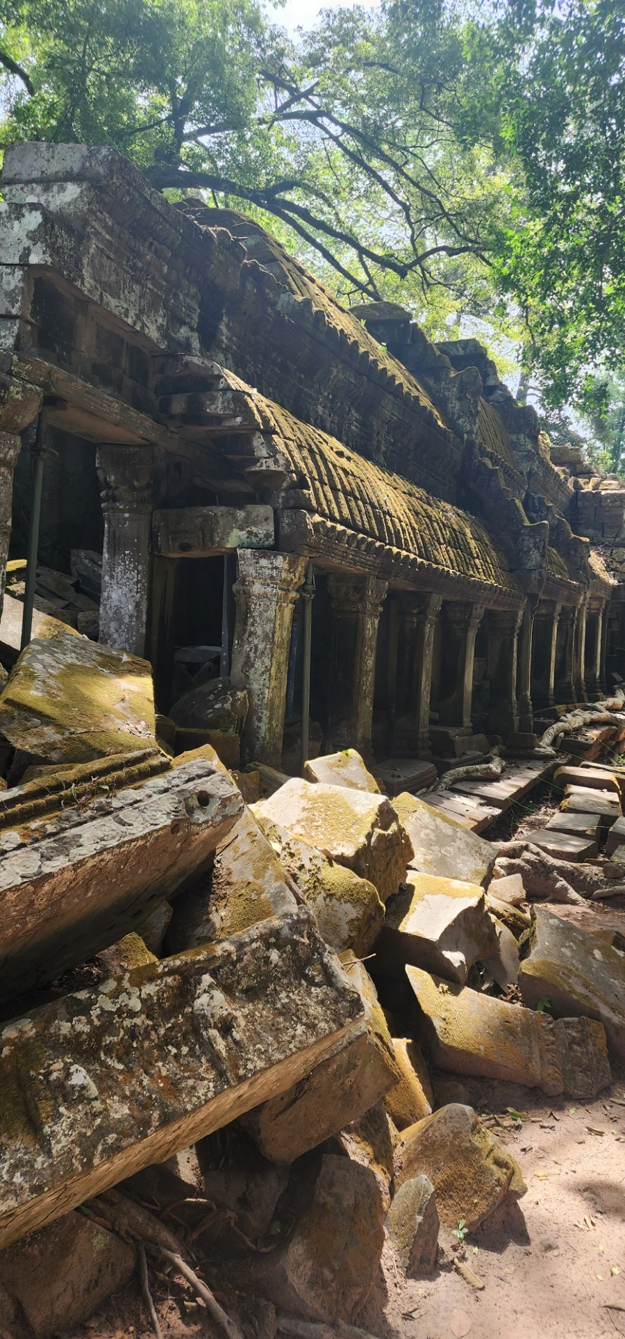 20240618%EF%BC%BF100804.jpg?type=w1