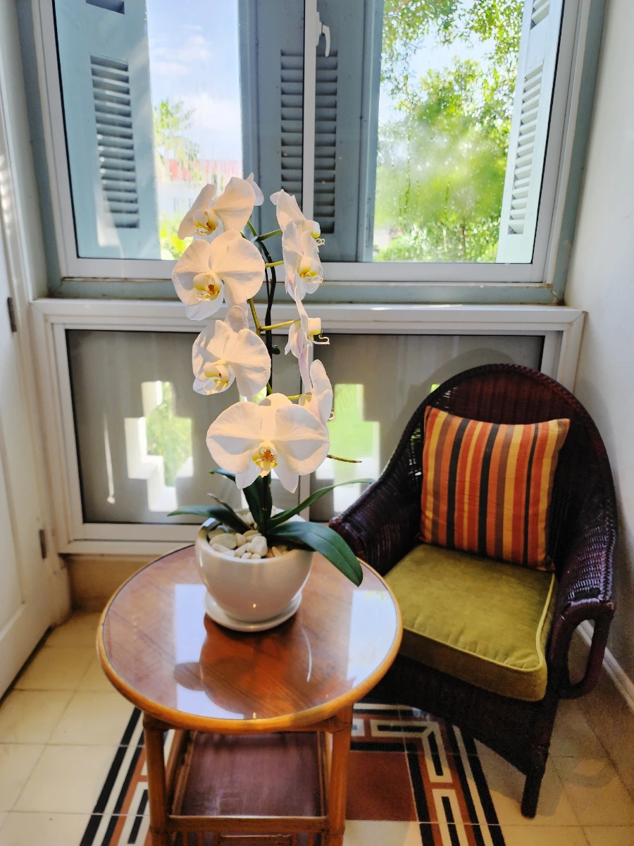 SE-942b6e7a-3a7a-11ef-8dbb-1553658f064a.jpg?type=w1