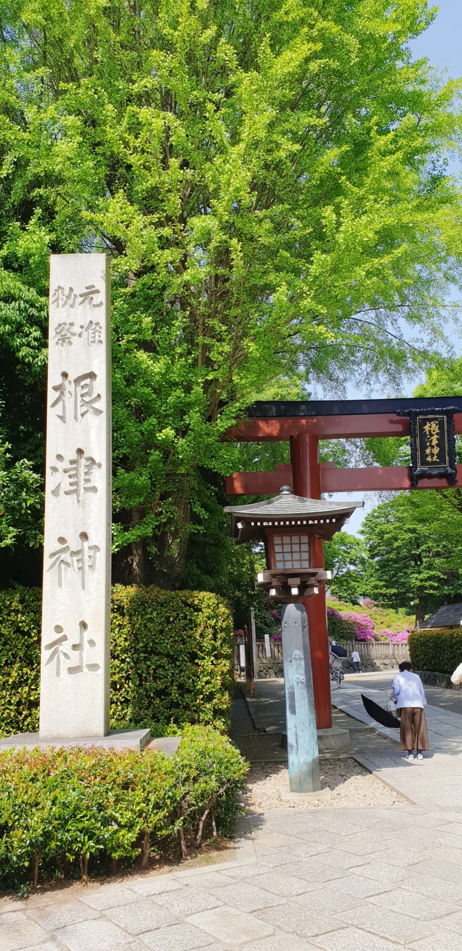 SE-fe1a029a-fc22-4de2-851f-a0577c8e057a.jpg?type=w1