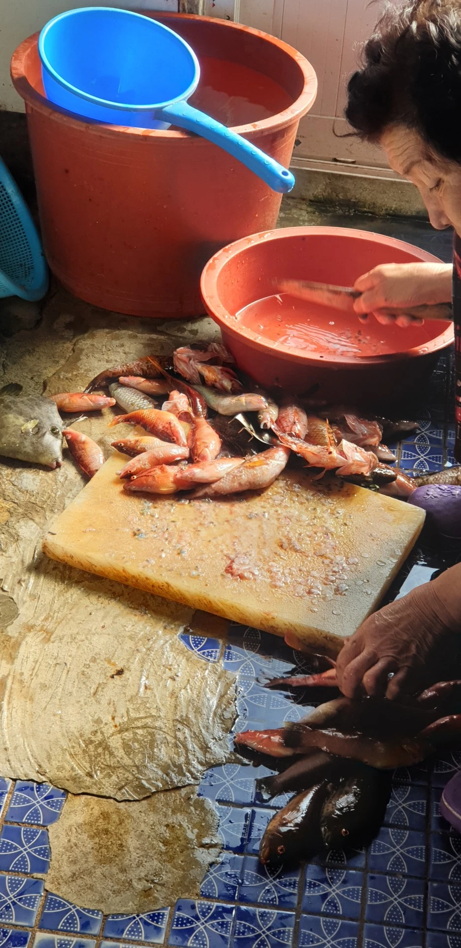 20220527_163357.jpg?type=w1