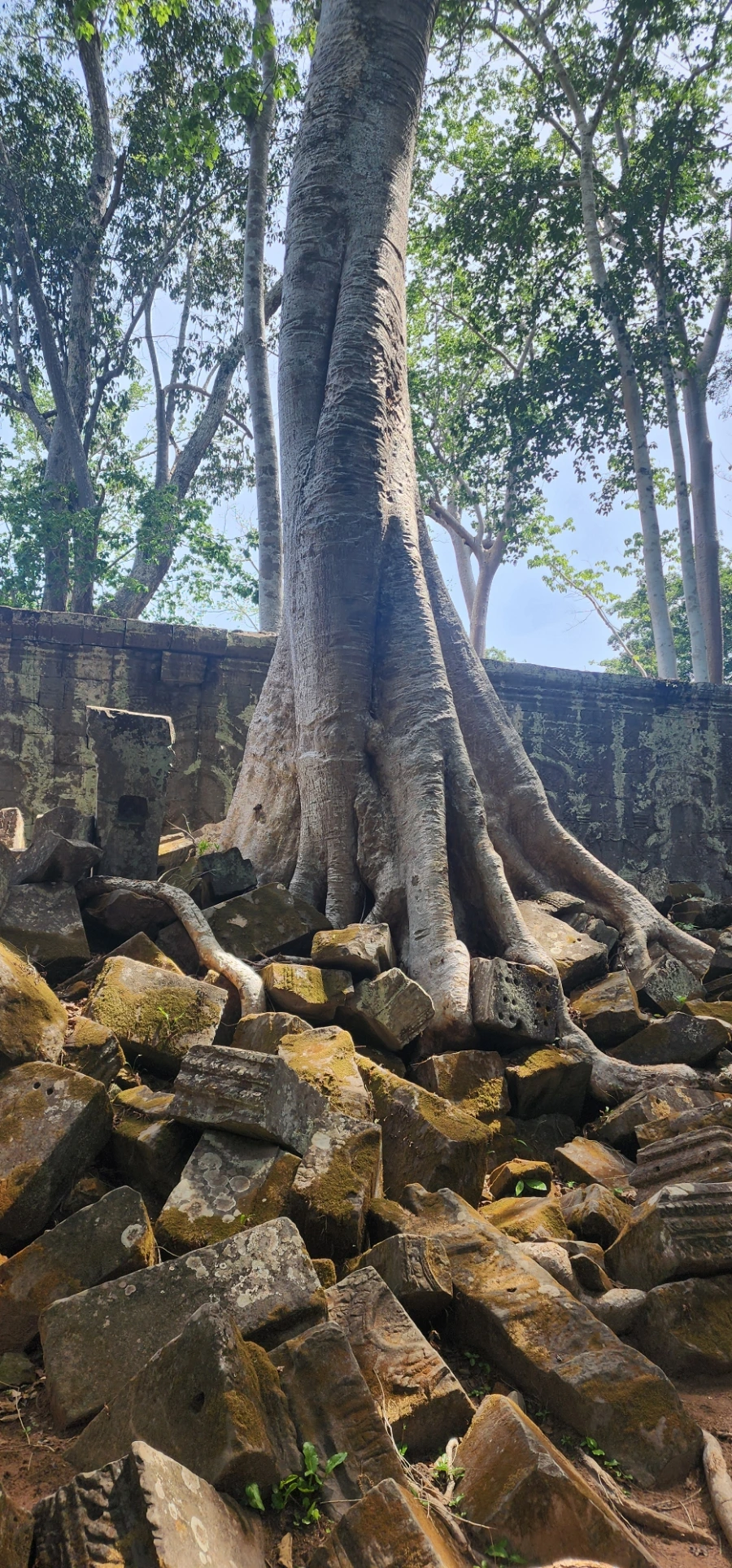 20240618%EF%BC%BF100741.jpg?type=w1