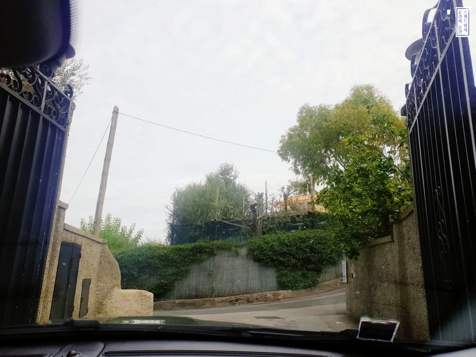 image_9069763761541982528547.jpg?type=w1