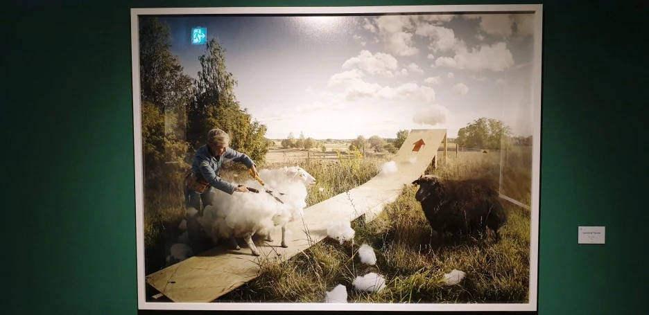 SE-d45cc3d1-d306-4c0c-b748-ee31c12ad0e4.jpg?type=w1