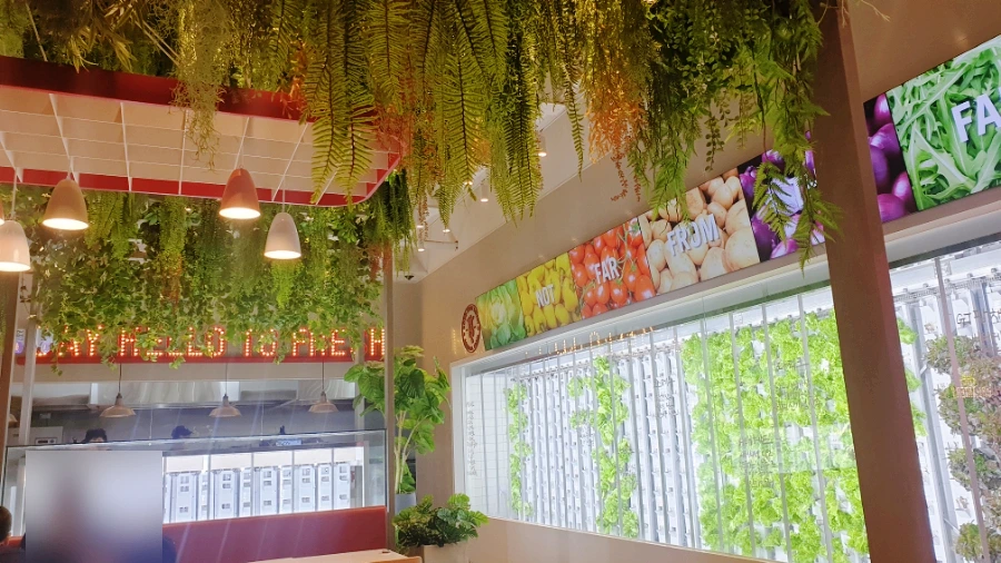 SE-a3d5cdae-35a4-11ed-90ec-fdea27a486a5.jpg?type=w1