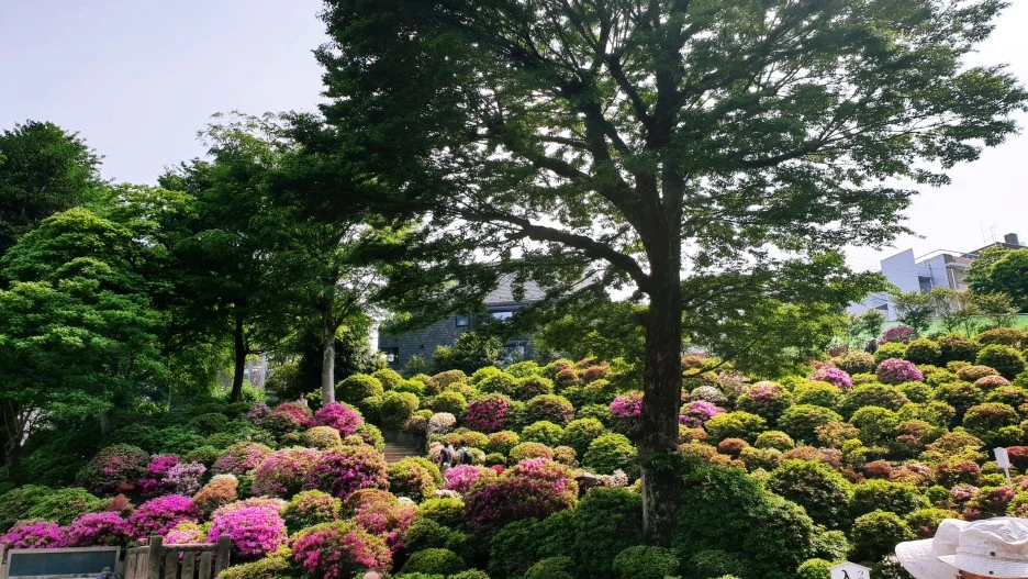 SE-ead0a075-a74a-4bf9-bd47-e79694e36e4b.jpg?type=w1