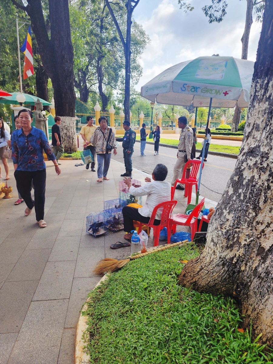 SE-94c64f0e-3a7a-11ef-8dbb-2955216a0a4b.jpg?type=w1