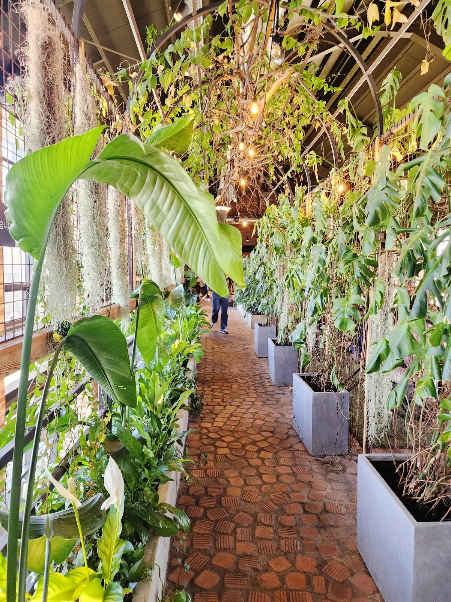 SE-ef9a7a24-ccec-11ed-9008-d954d4925dd1.jpg?type=w1