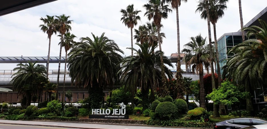 SE-59dc2309-3e12-4296-83a6-aa952b1a859b.jpg?type=w1