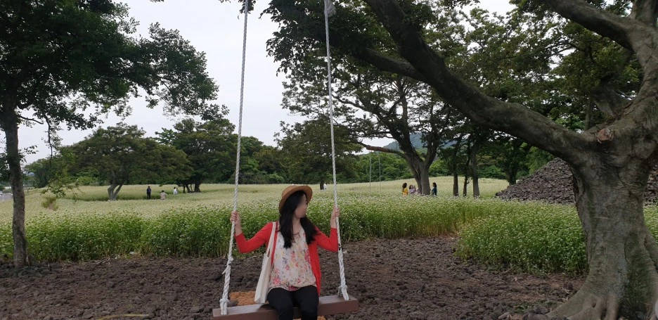 SE-10c9c2bb-d2d7-4fda-bd57-9bd7bed17893.jpg?type=w1