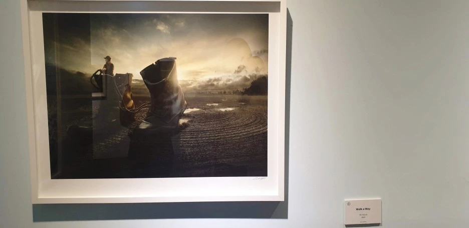 SE-0b9f26dd-5e02-47cd-affa-fc6fcdd32205.jpg?type=w1