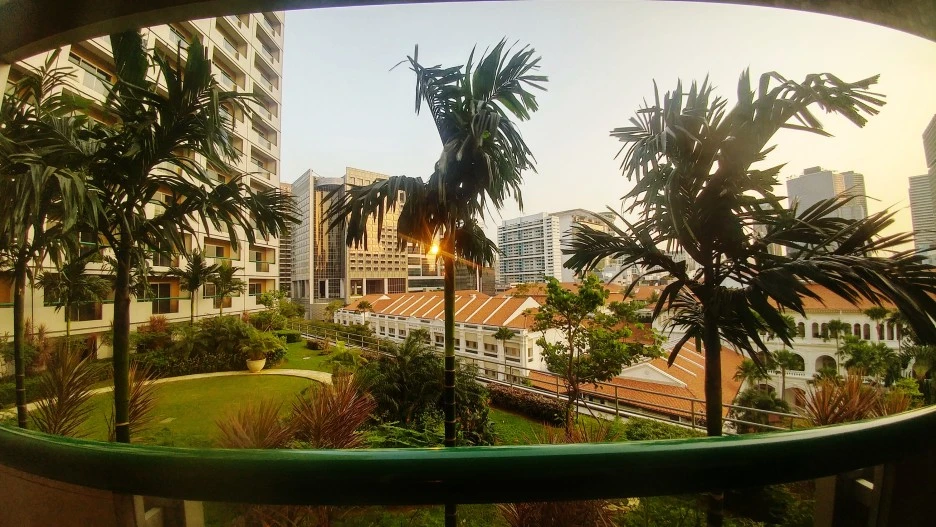 SE-36d97313-70f6-4934-be32-33a9ea00dbad.jpg?type=w1