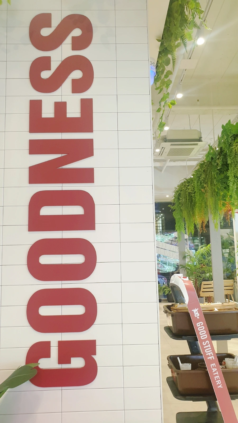 SE-a3d5a69d-35a4-11ed-90ec-4122a09af69f.jpg?type=w1