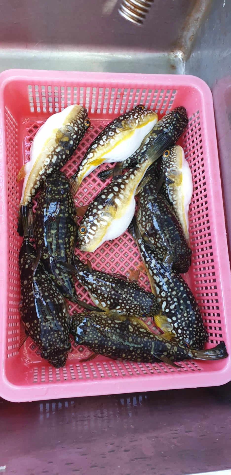 20220527_155527.jpg?type=w1