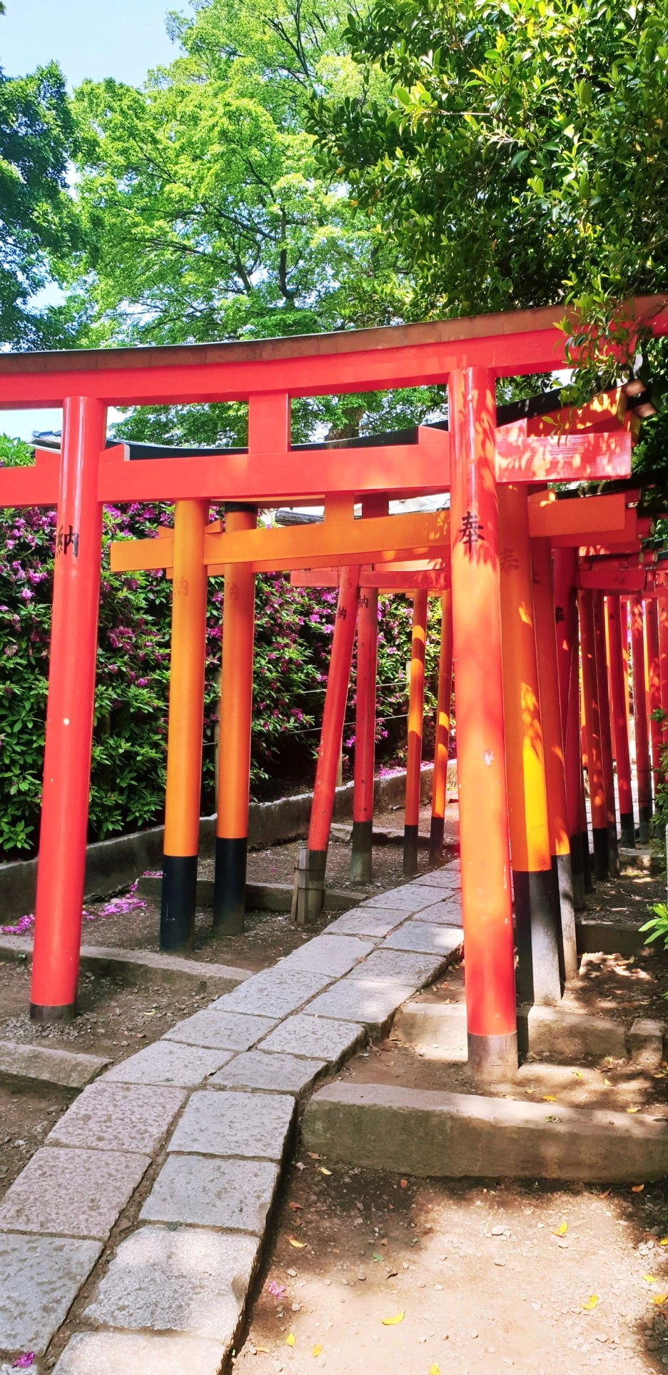 SE-129255a8-75d0-4305-9471-21f5329f09a1.jpg?type=w1