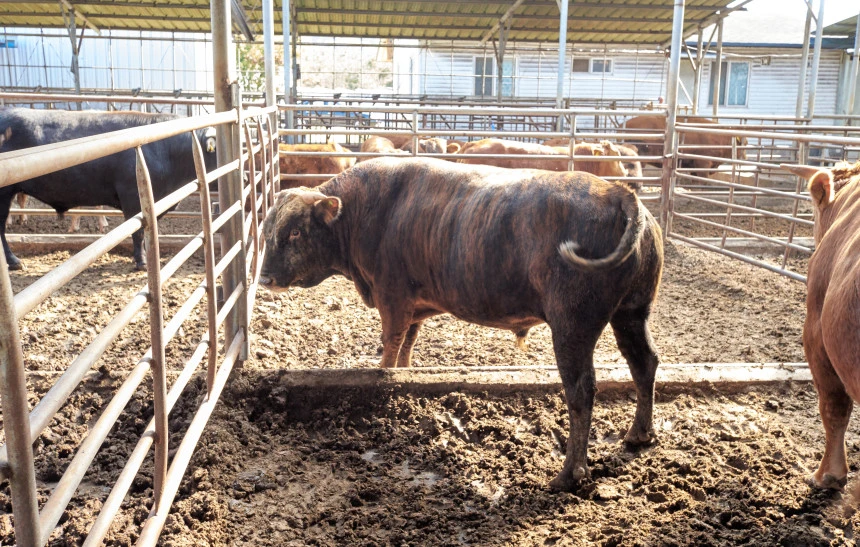 %EC%B9%A1%EC%86%8C.jpg?type=w860