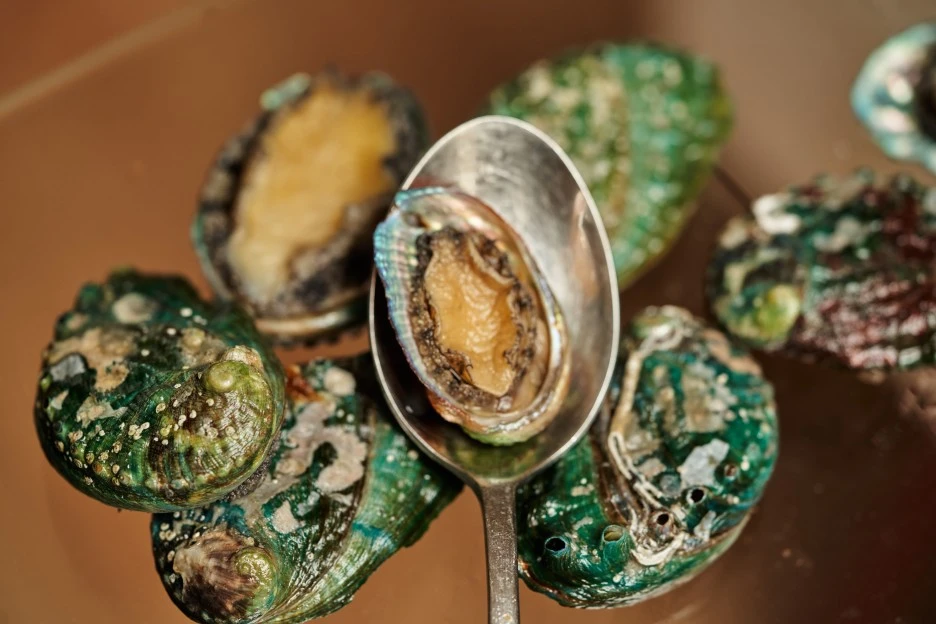 %EC%A0%84%EB%B3%B5_4.jpg?type=w1