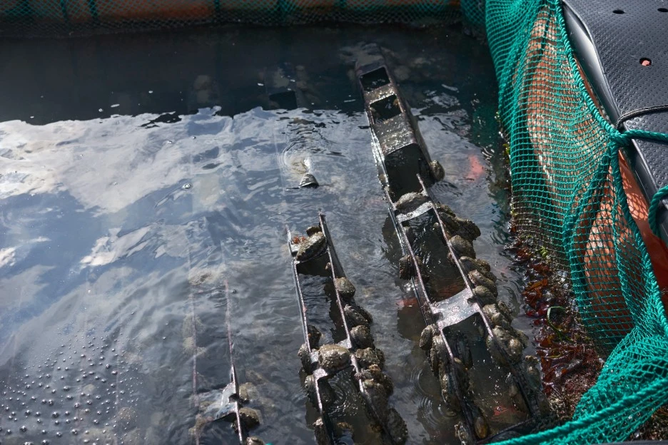 %EC%A0%84%EB%B3%B5_7.jpg?type=w1