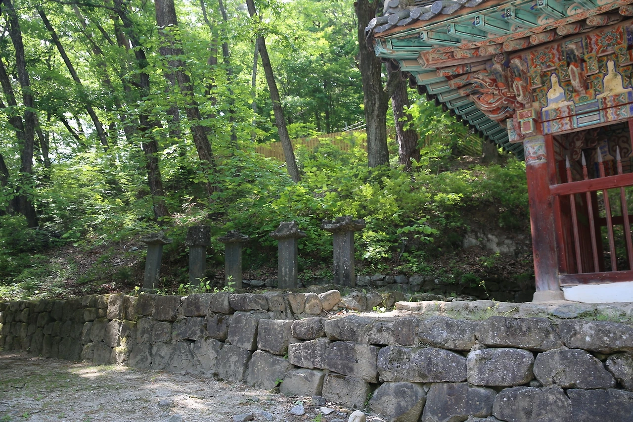 MG0A9368_новый размер.JPG