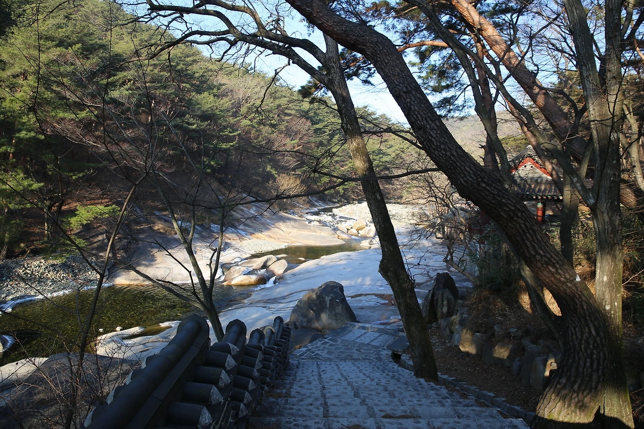 MG0A7633_новый размер.JPG