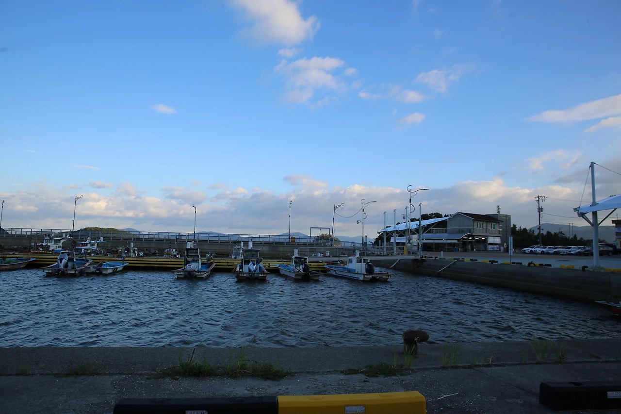 MG0A8834_новый размер.JPG