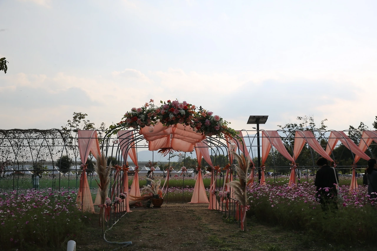 MG0A6550_новый размер.JPG