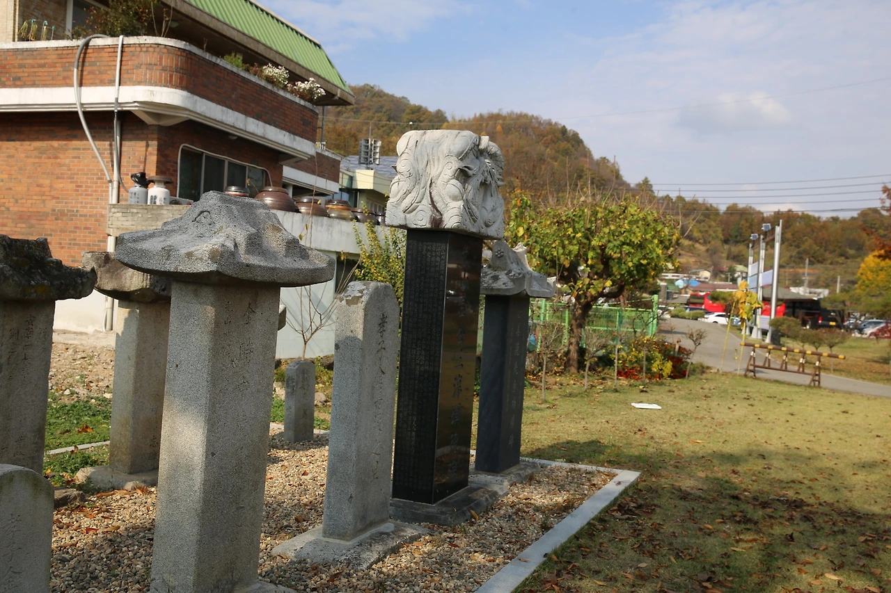 MG0A9875_новый размер.JPG