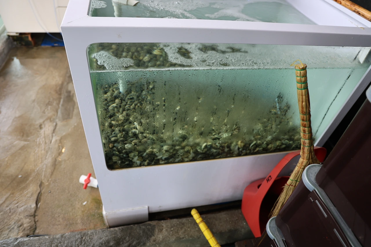 0R5A4867_новый размер.JPG