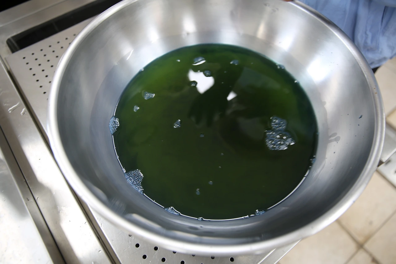 MG0A2959_новый размер.JPG