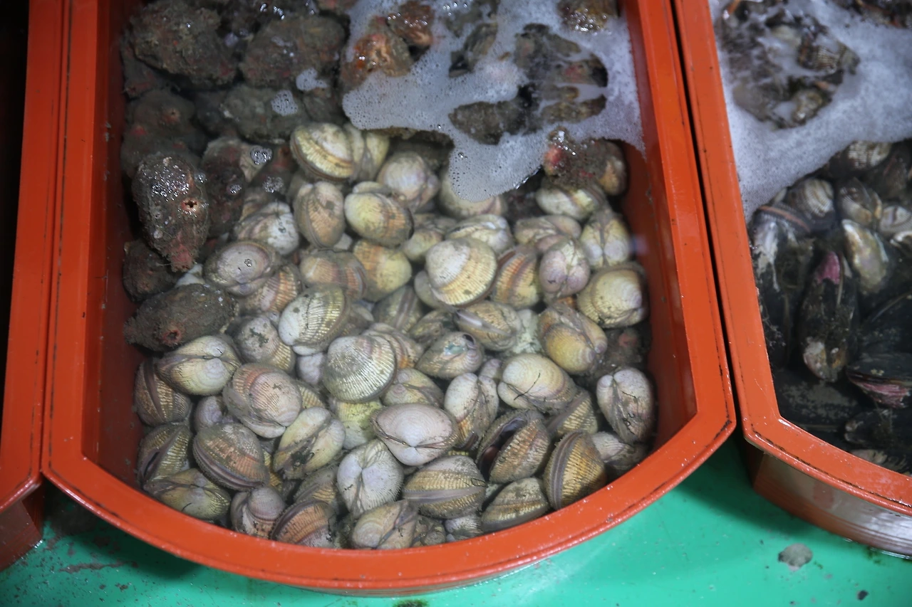 MG0A0709_новый размер.JPG