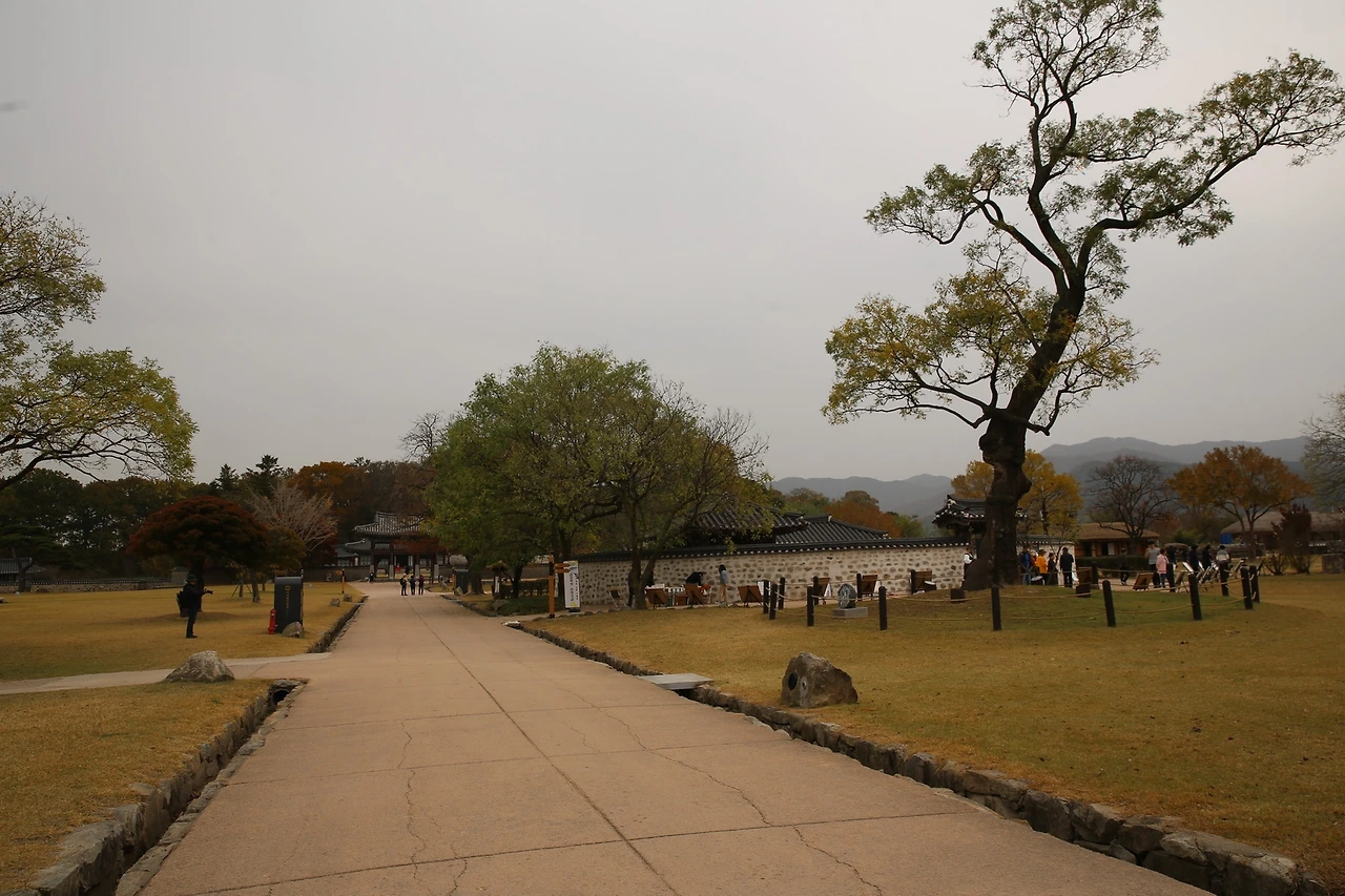 MG0A9572_новый размер.JPG