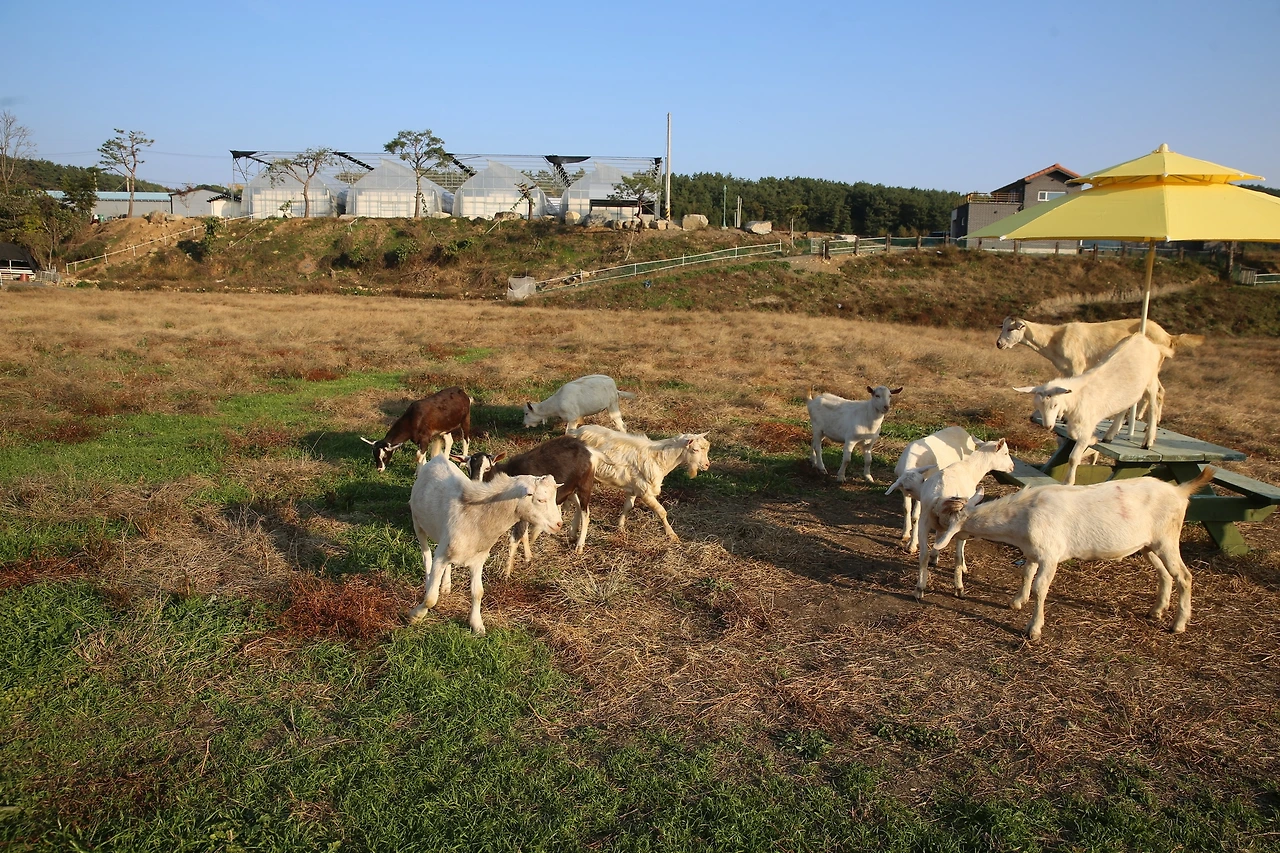 MG0A9384_новый размер.JPG