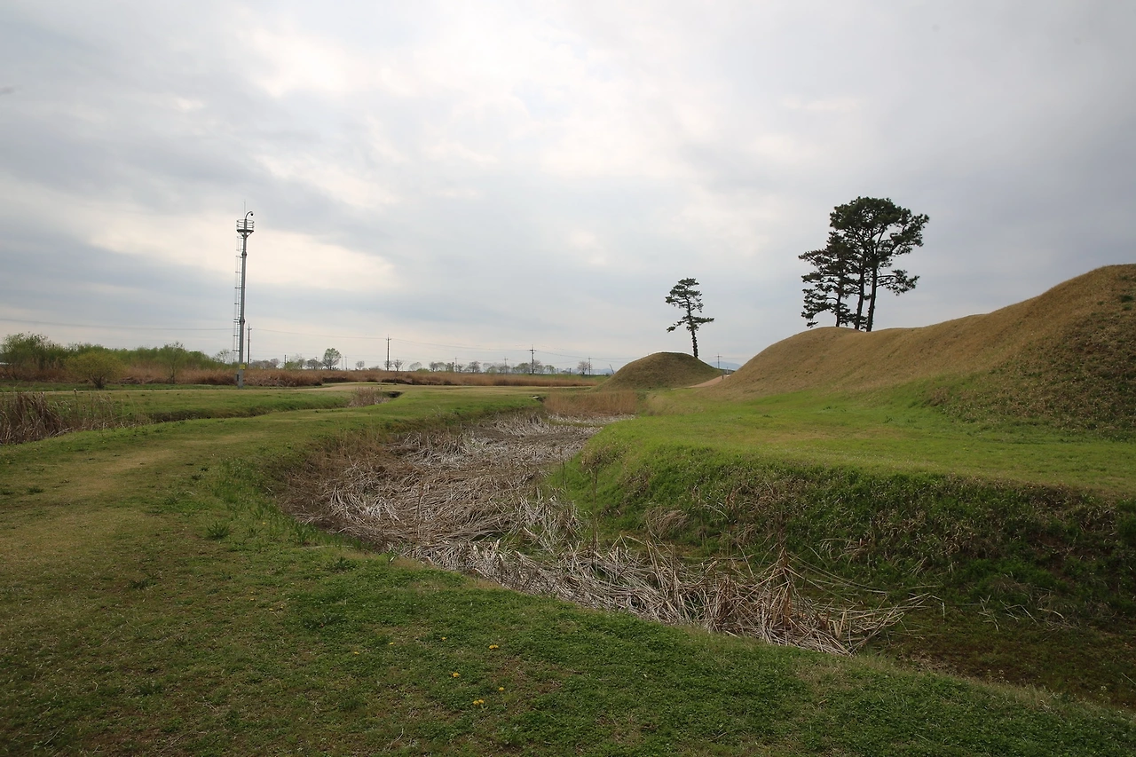 MG0A8237_новый размер.JPG