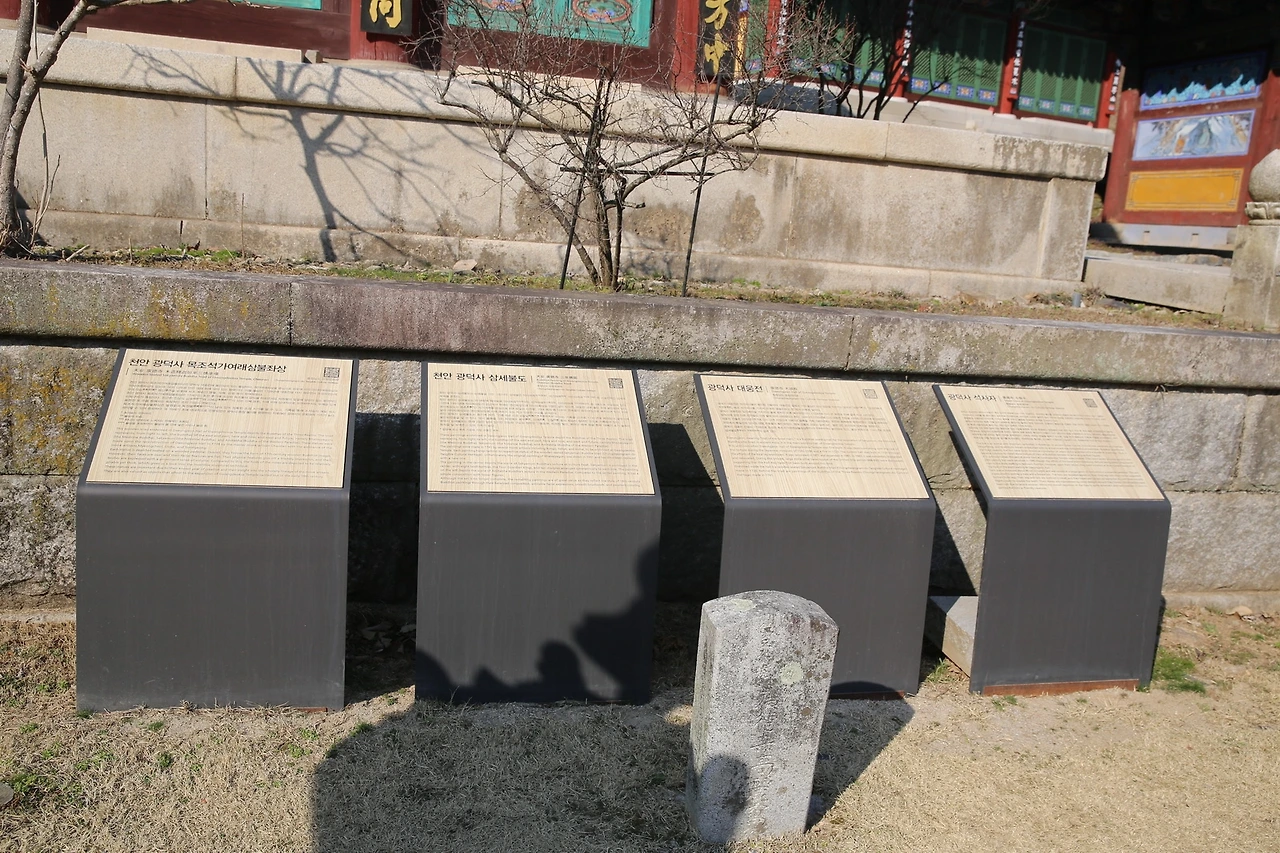 MG0A4395_новый размер.JPG