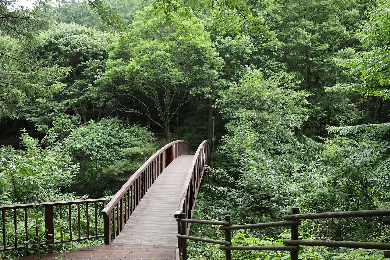 0R5A7505_новый размер.JPG