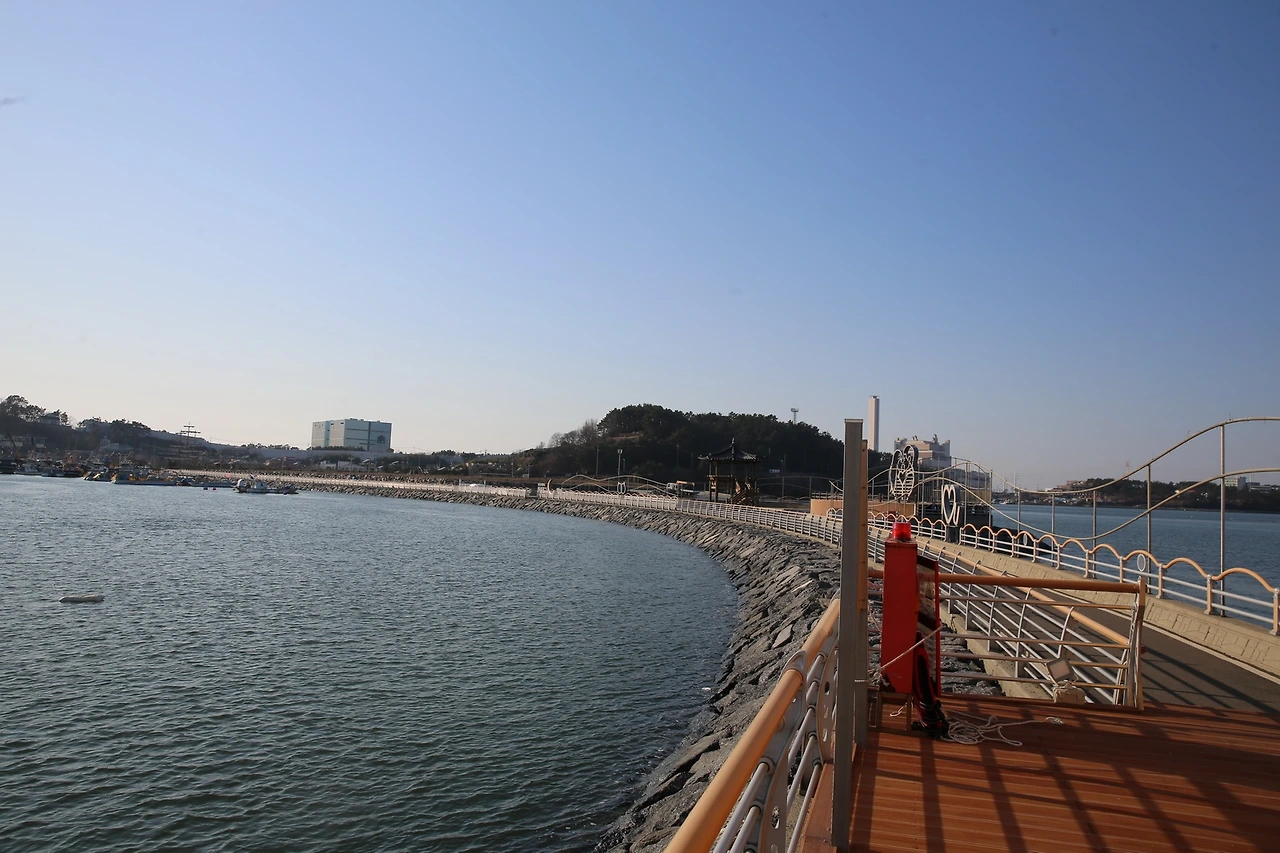 MG0A3564_новый размер.JPG