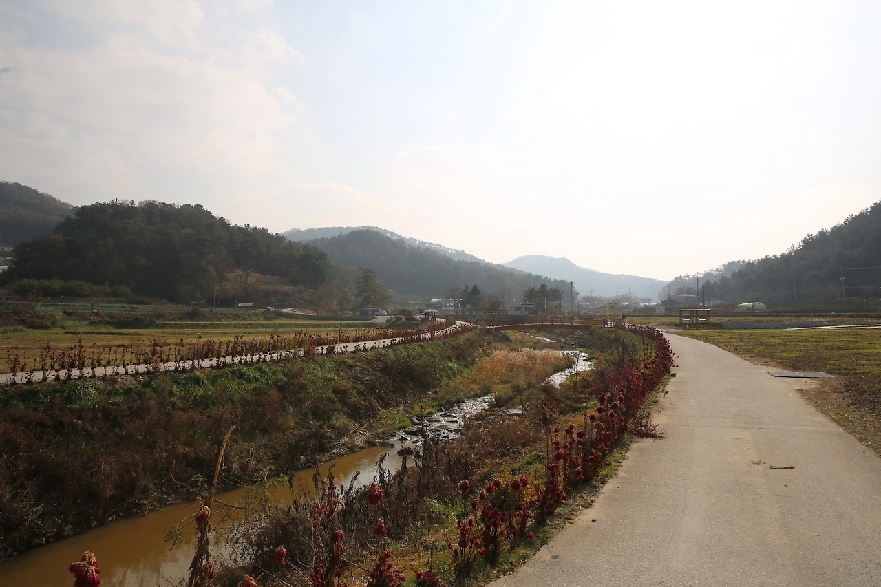 MG0A0807_новый размер.JPG