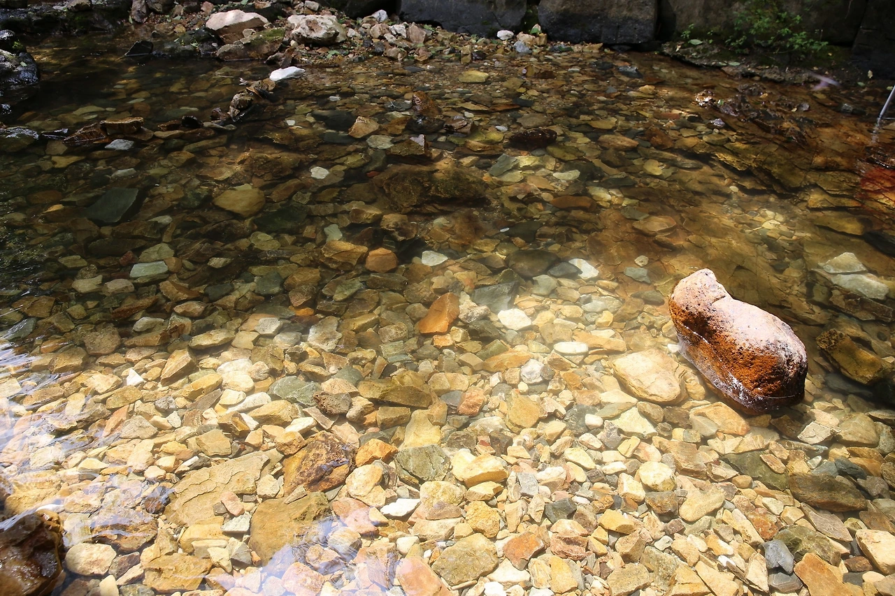 MG0A9443_новый размер.JPG