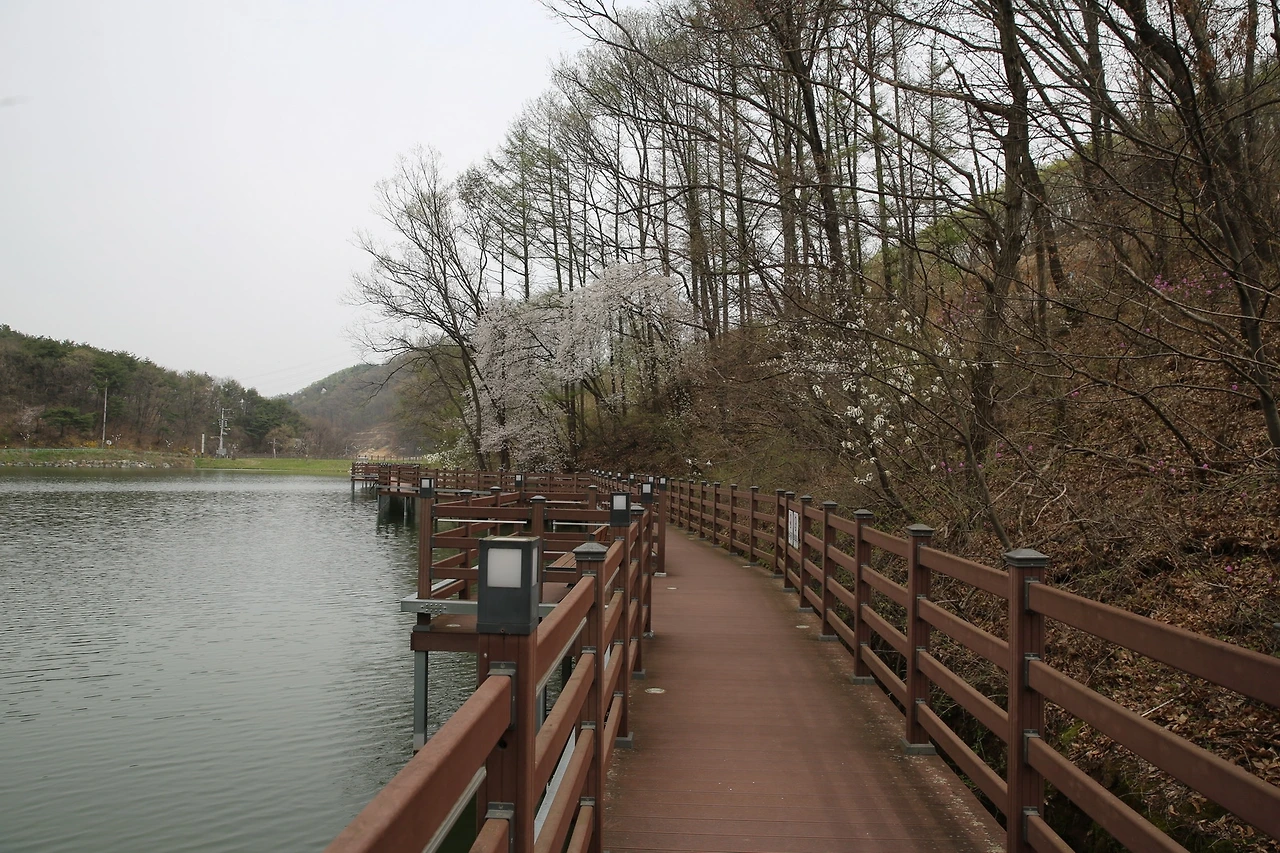 MG0A8604_новый размер.JPG