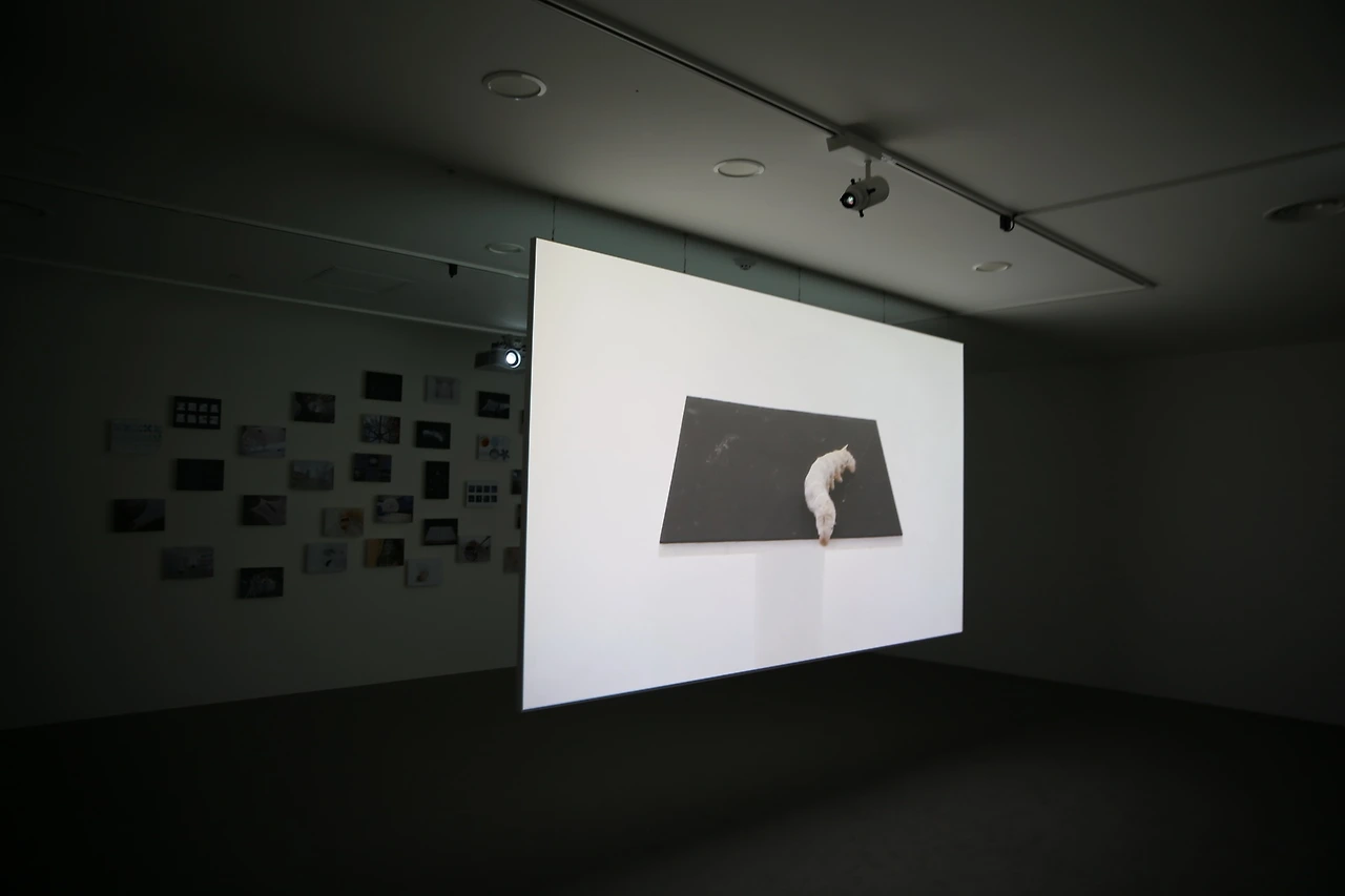 MG0A0862_новый размер.JPG