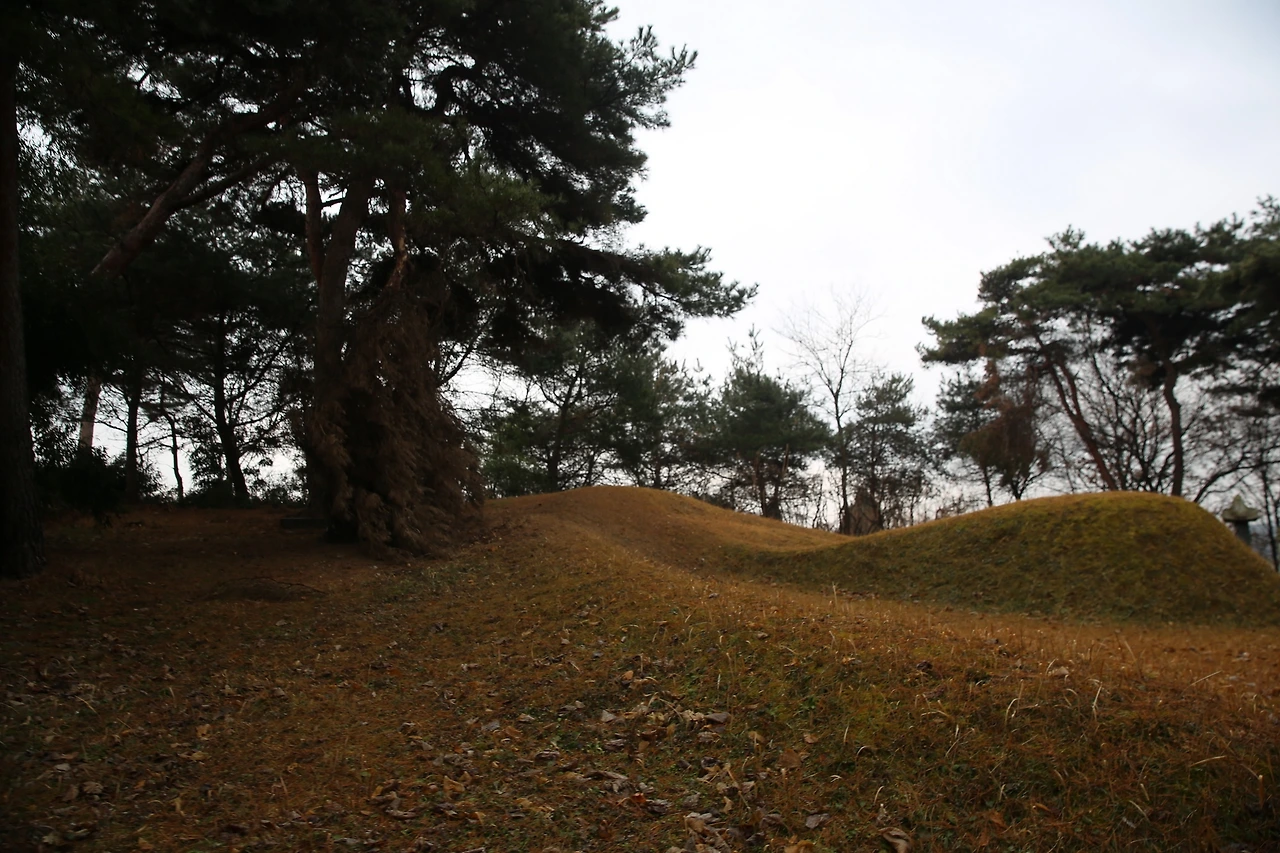 MG0A5949_новый размер.JPG