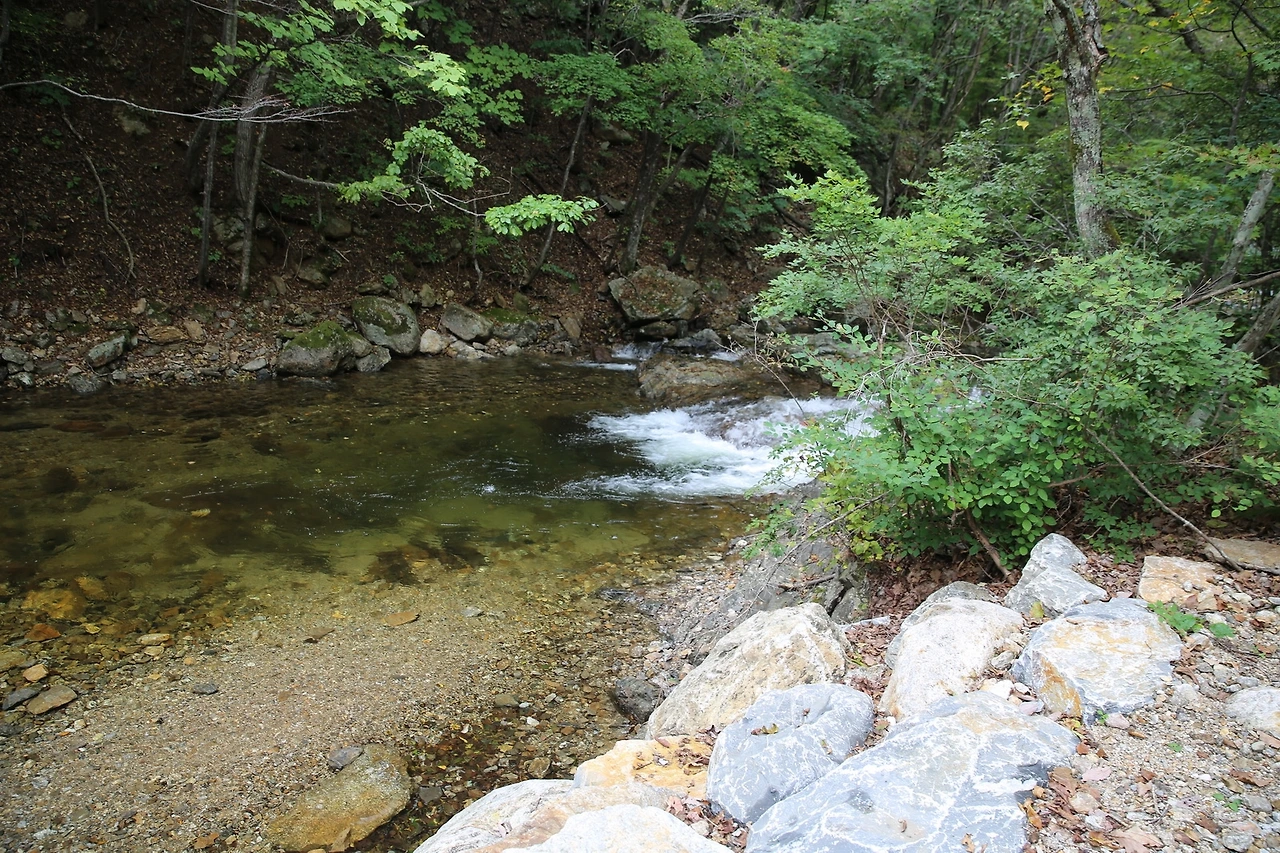 MG0A3937_новый размер.JPG