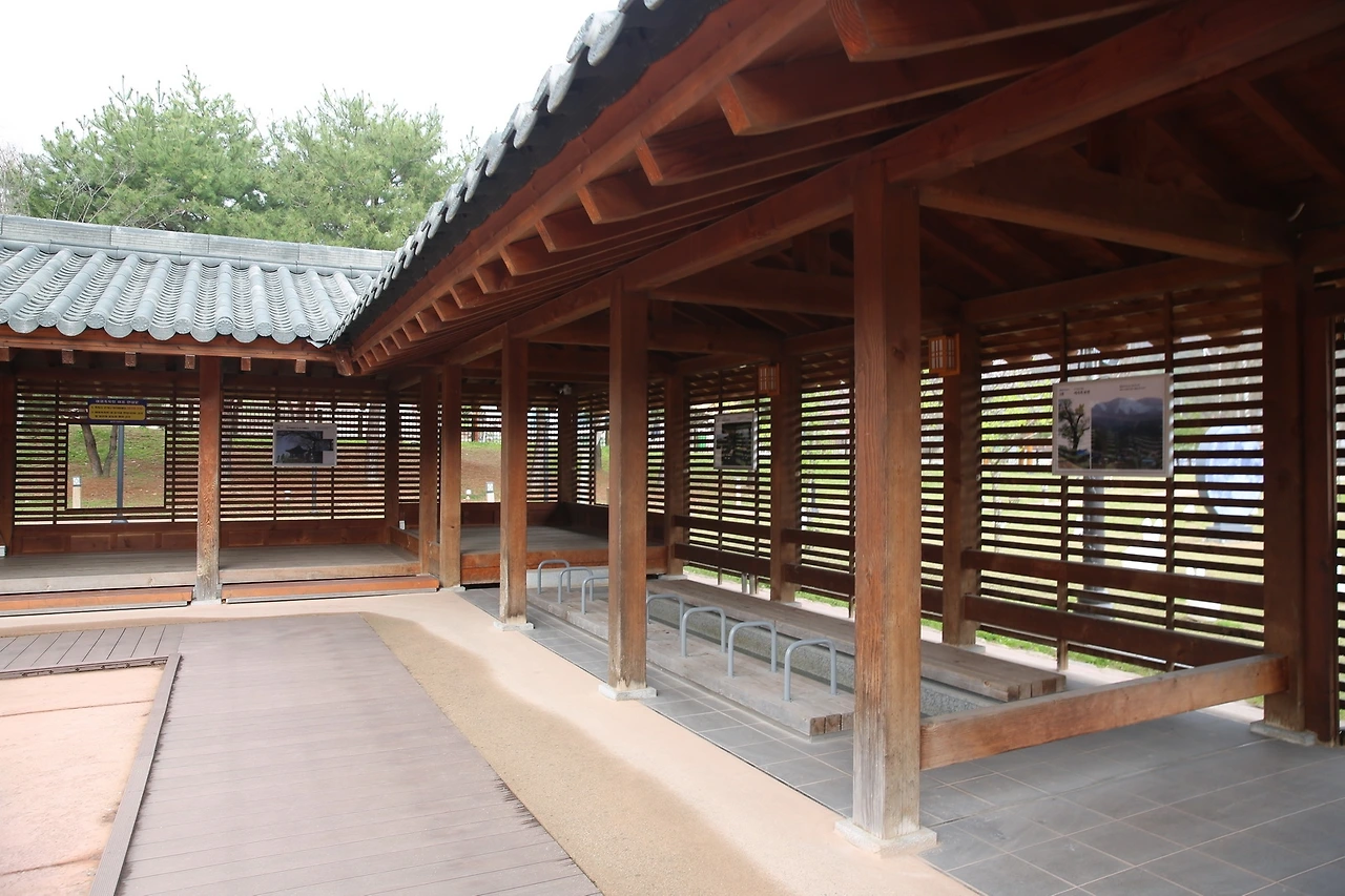 MG0A8259_новый размер.JPG