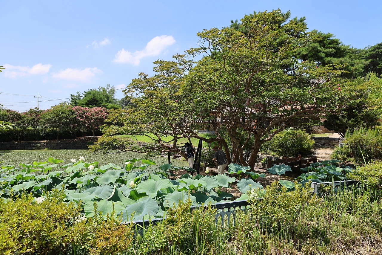 0R5A0866_новый размер.JPG