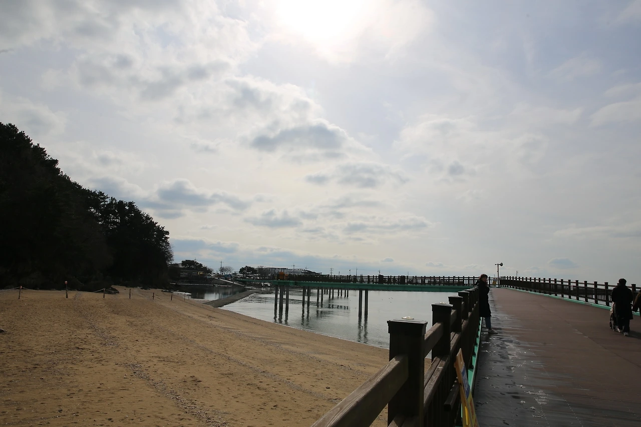 MG0A1264_новый размер.JPG