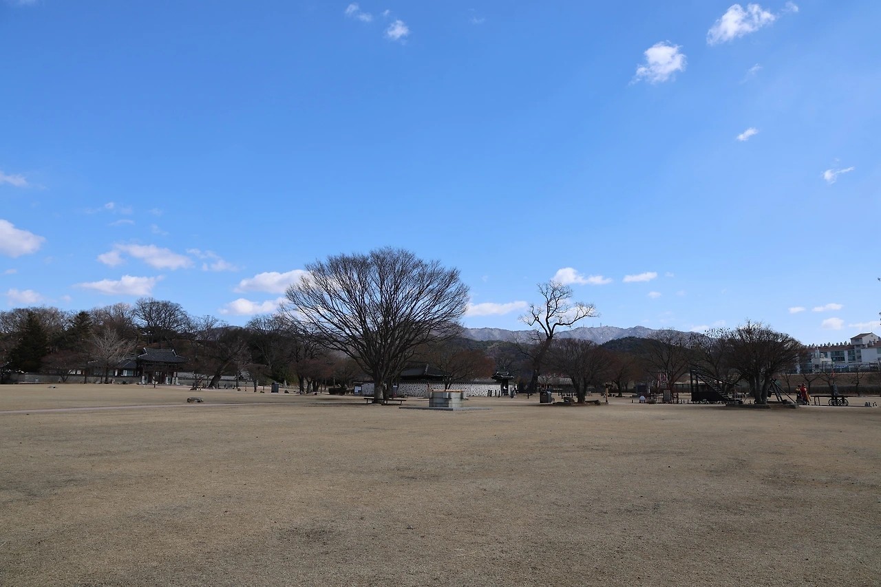 0R5A9752_новый размер.JPG