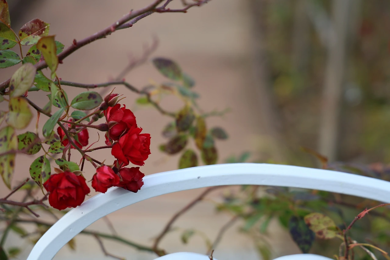 0R5A4999_новый размер.JPG