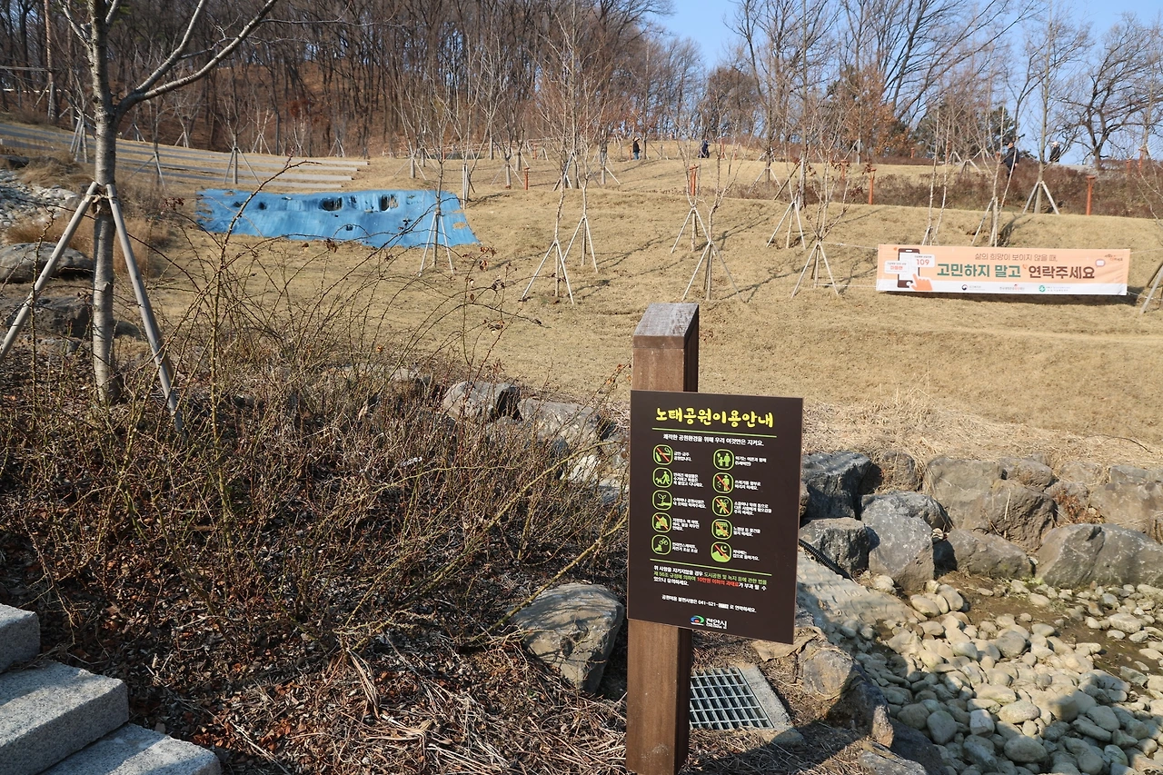 0R5A3763_новый размер.JPG