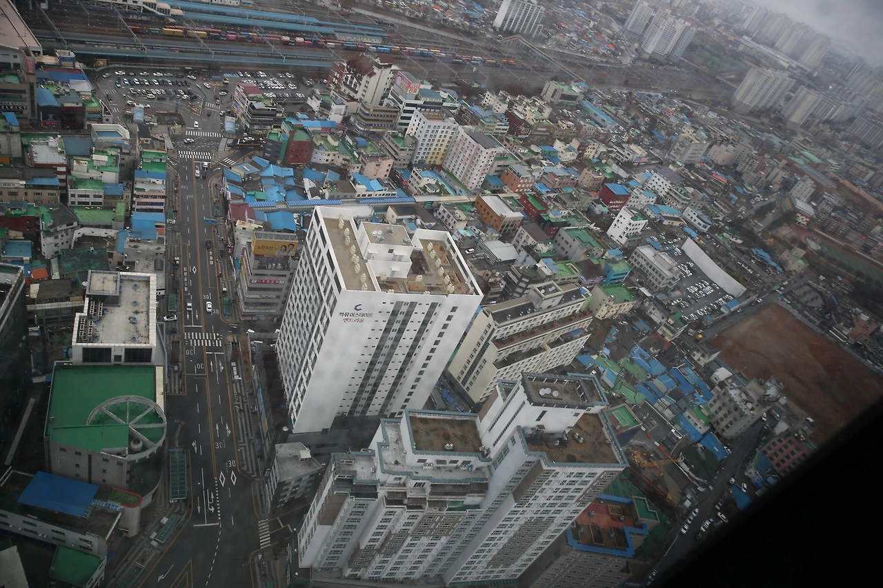 MG0A0036_новый размер.JPG