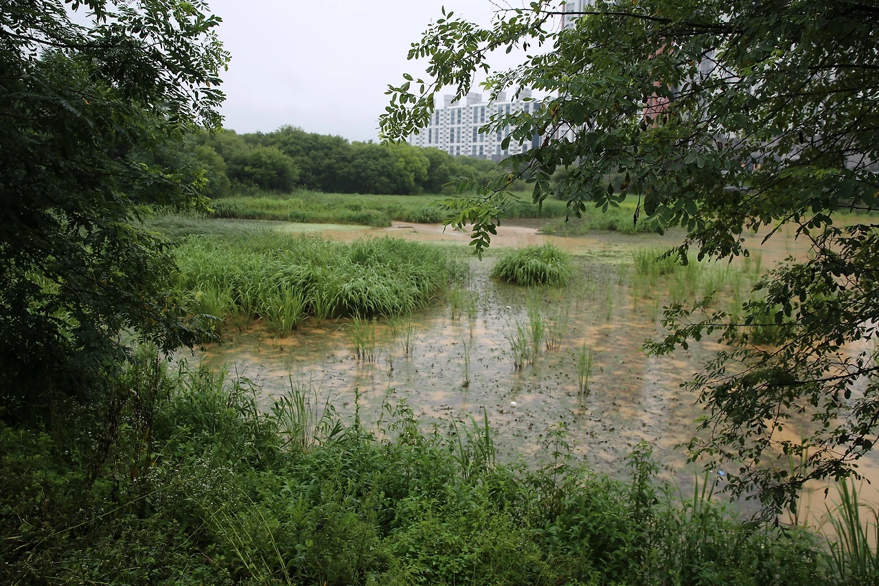 MG0A2512_новый размер.JPG