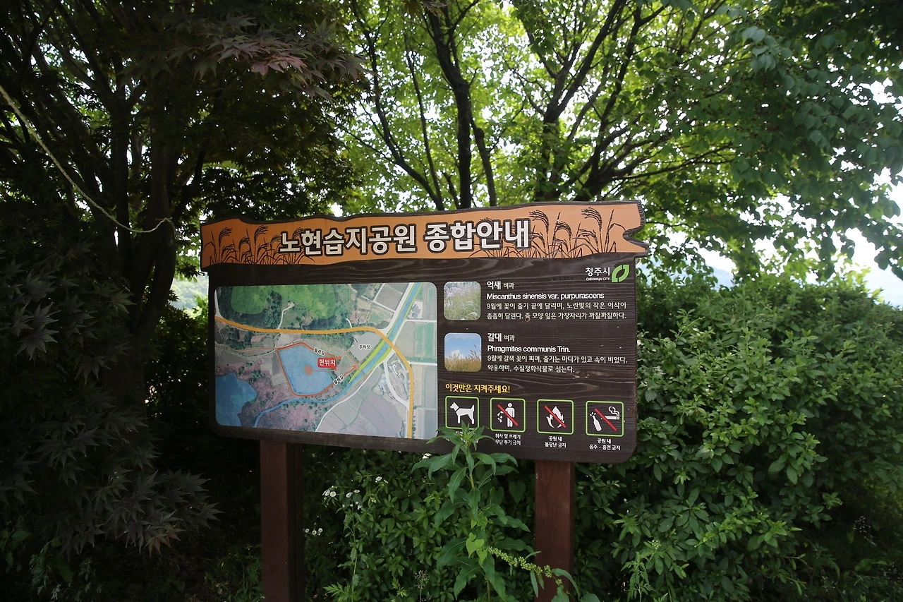 MG0A2153_новый размер.JPG